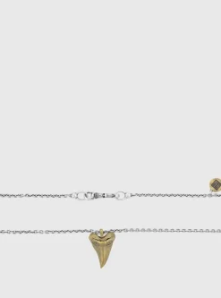 SHARK TOOTH PENDANT NECKLACE